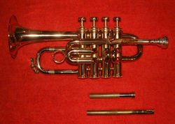 Piccolo trumpet in Bb;, with swappable leadpipes to tune the instrument to Bf (shorter) or A (longer)