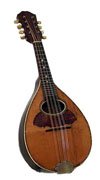 Mandolin