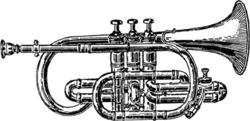This drawing of a cornet is a public domain image from Webster's Dictionary 1911